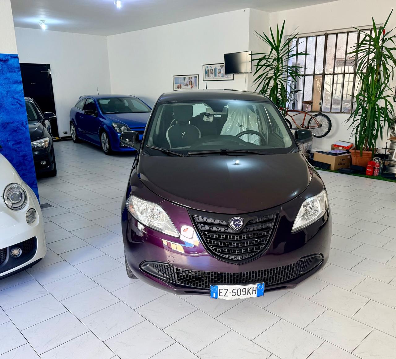 Lancia Ypsilon 1.2 69 CV 5 porte Elle