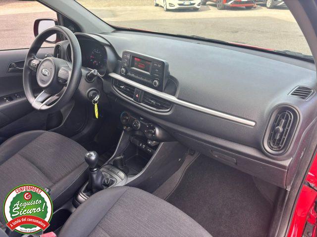 KIA Picanto 1.0 12V 5 porte Cool - PER NEOPATENTATO -
