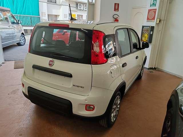 Fiat Panda 1.0 Hybrid 70cv Radio Bluetooth 36 Rate da 177,95