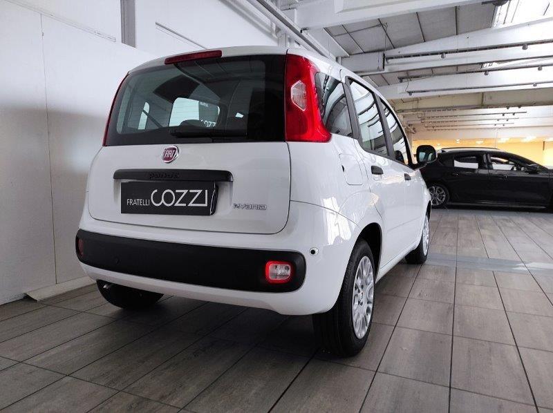 FIAT Panda 3ª serie - Panda 1.0 FireFly S&S Hybrid Icon