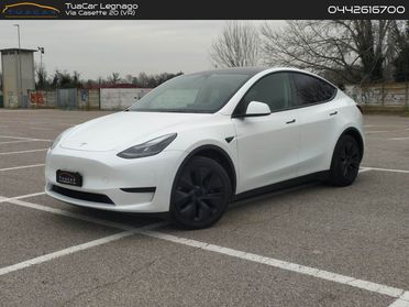 Tesla Model Y Standard Range / Standard #9113