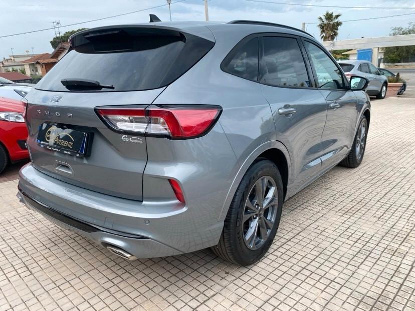 Ford Kuga 2.0 EcoBlue 120 CV aut. 2WD ST-Line