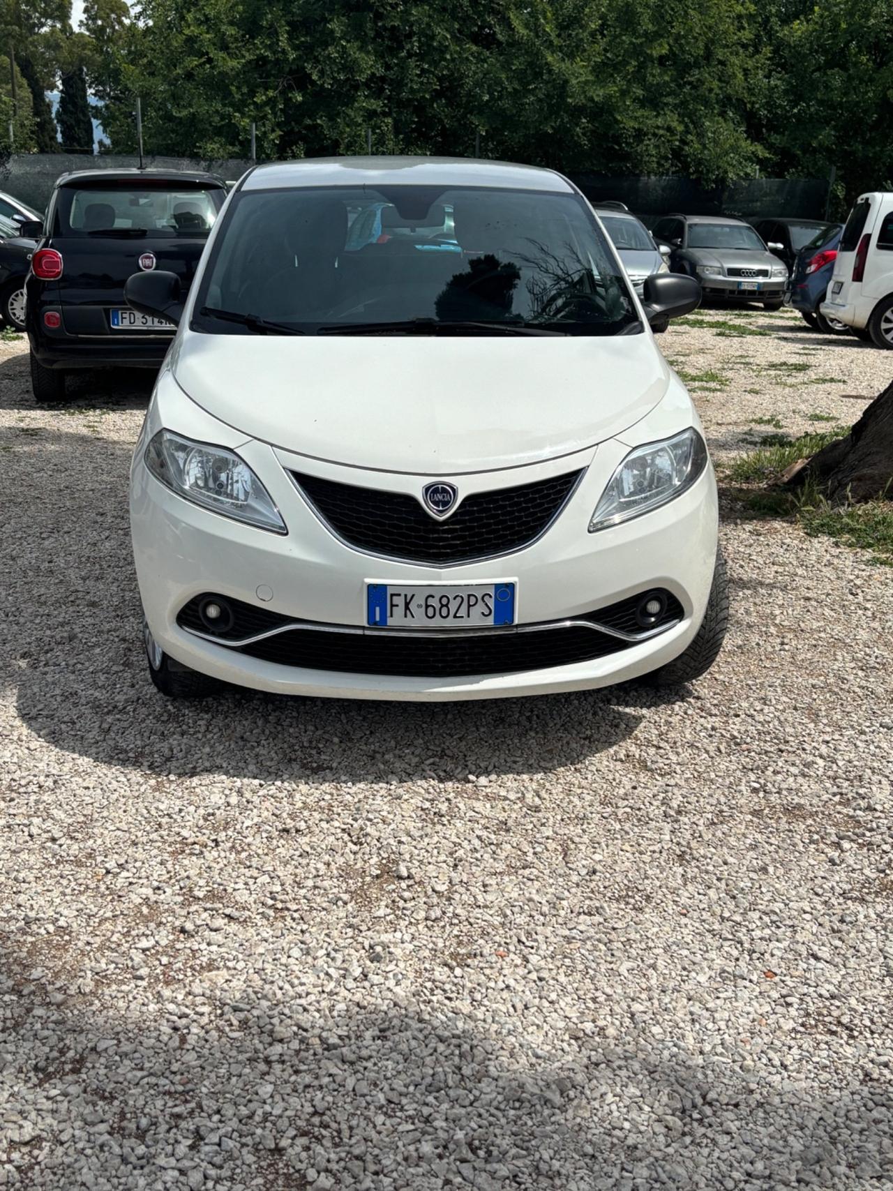 Lancia Ypsilon 0.9 TwinAir 85 CV 5 porte Metano Ecochic Platinum