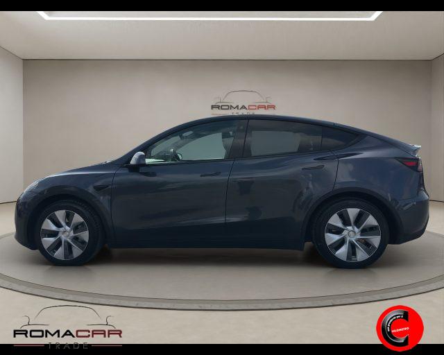 TESLA Model Y RWD