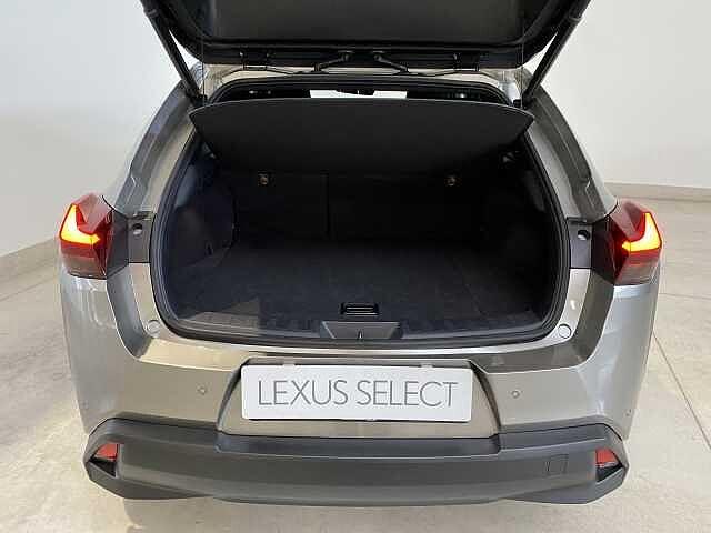Lexus UX 250h Hybrid 4WD Premium 250H