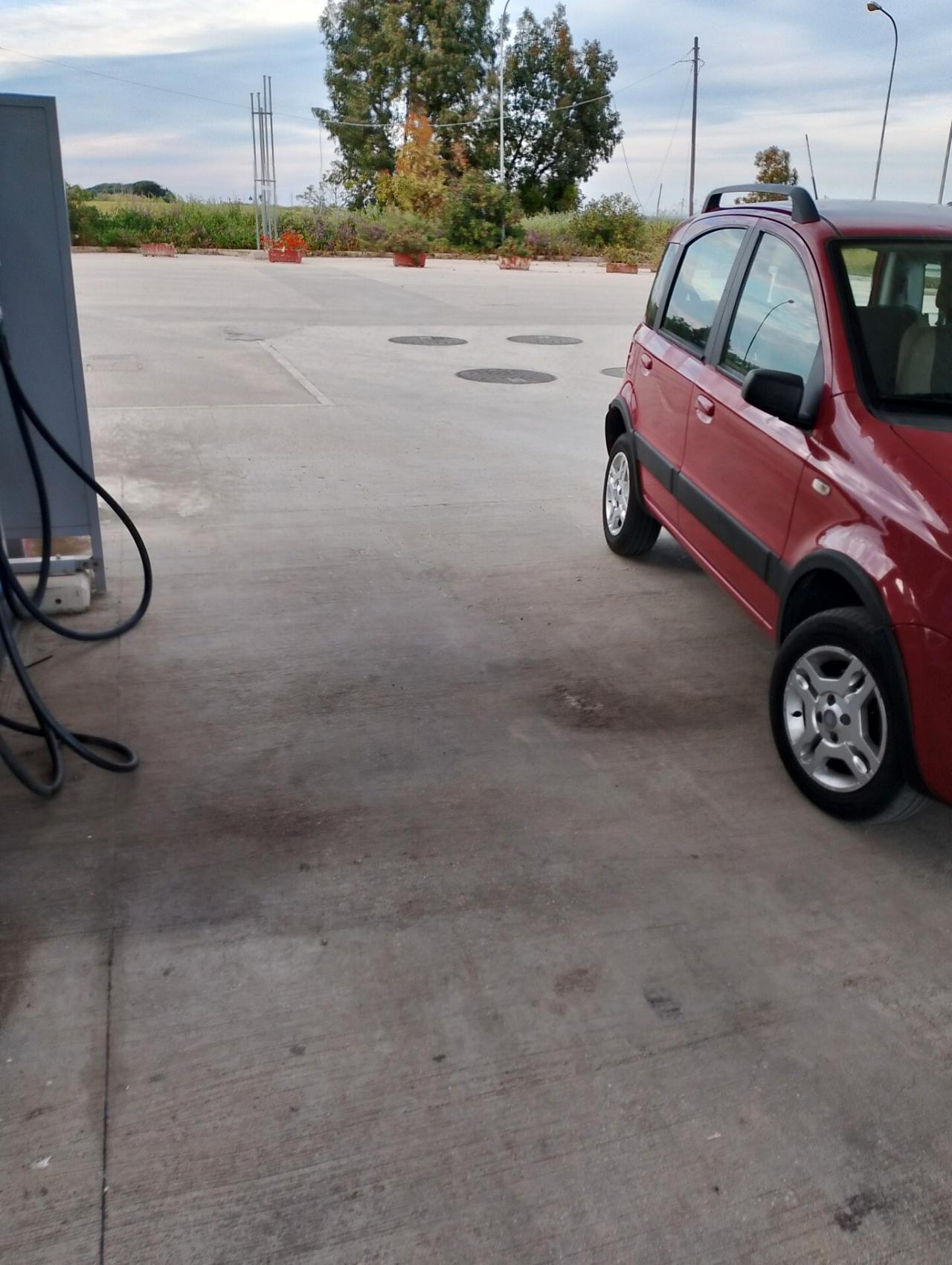 Fiat Panda 1.2 Dynamic Natural Power Mamy