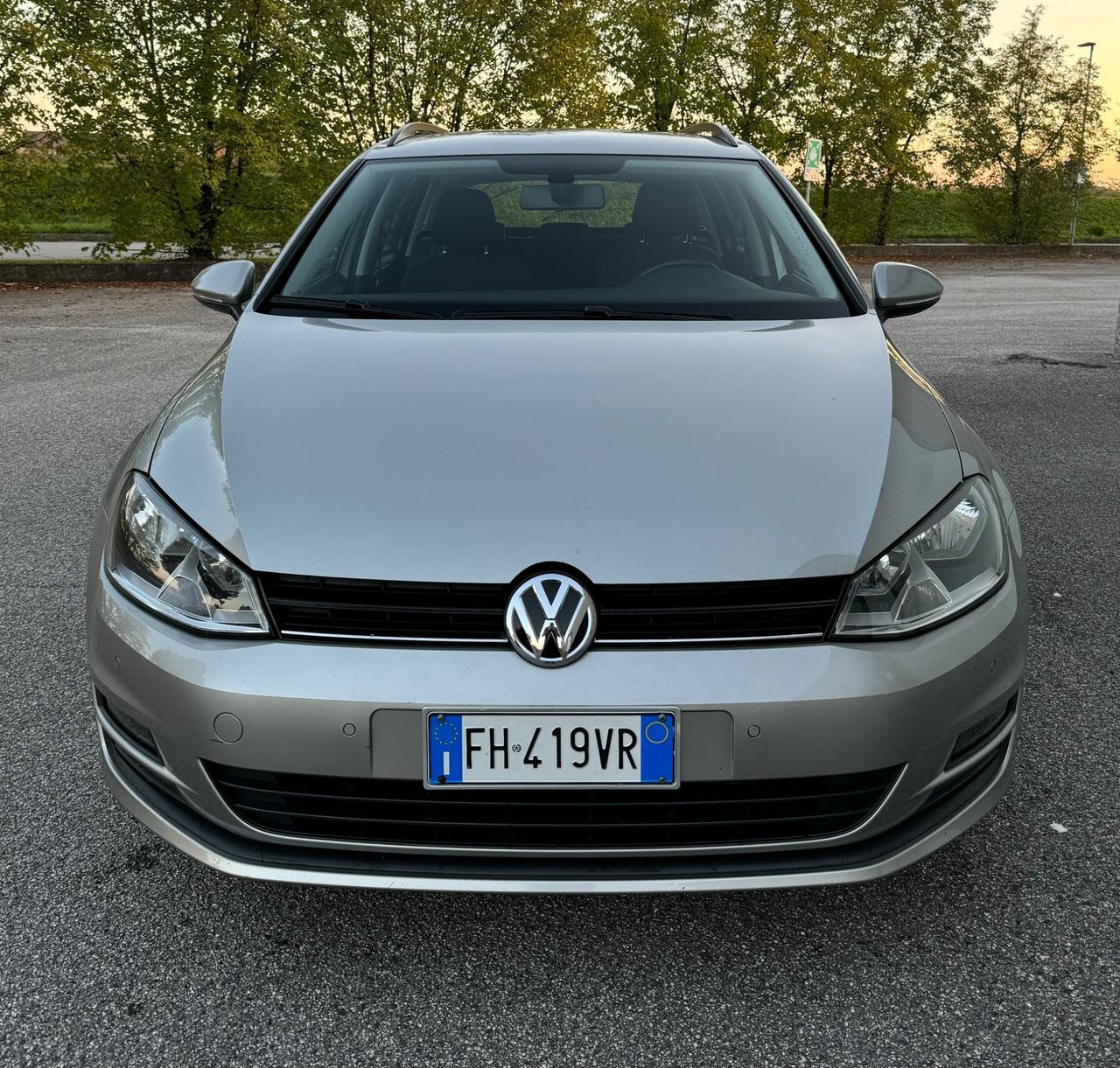 Volkswagen Golf Variant Golf Variant 1.6 TDI 110 CV Comfortline BlueMotion Tech.