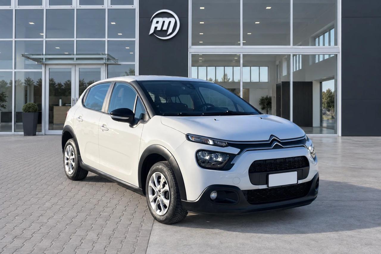Citroen C3 1.5 100CV Van 2 Posti
