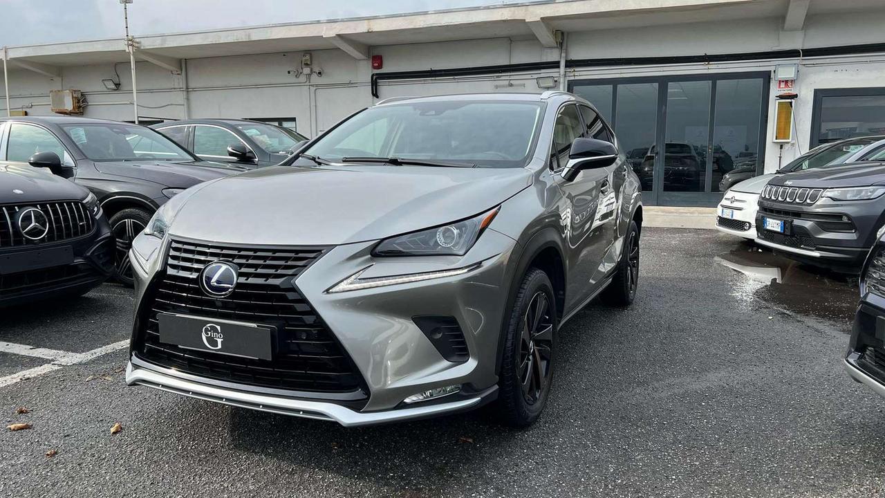 LEXUS NX 300h 2.5 Premium 4wd cvt