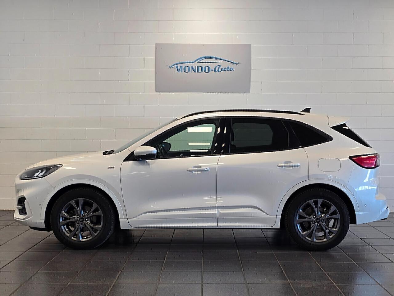 Ford Kuga 1.5 EcoBlue 120 CV aut. 2WD ST-Line X 2020