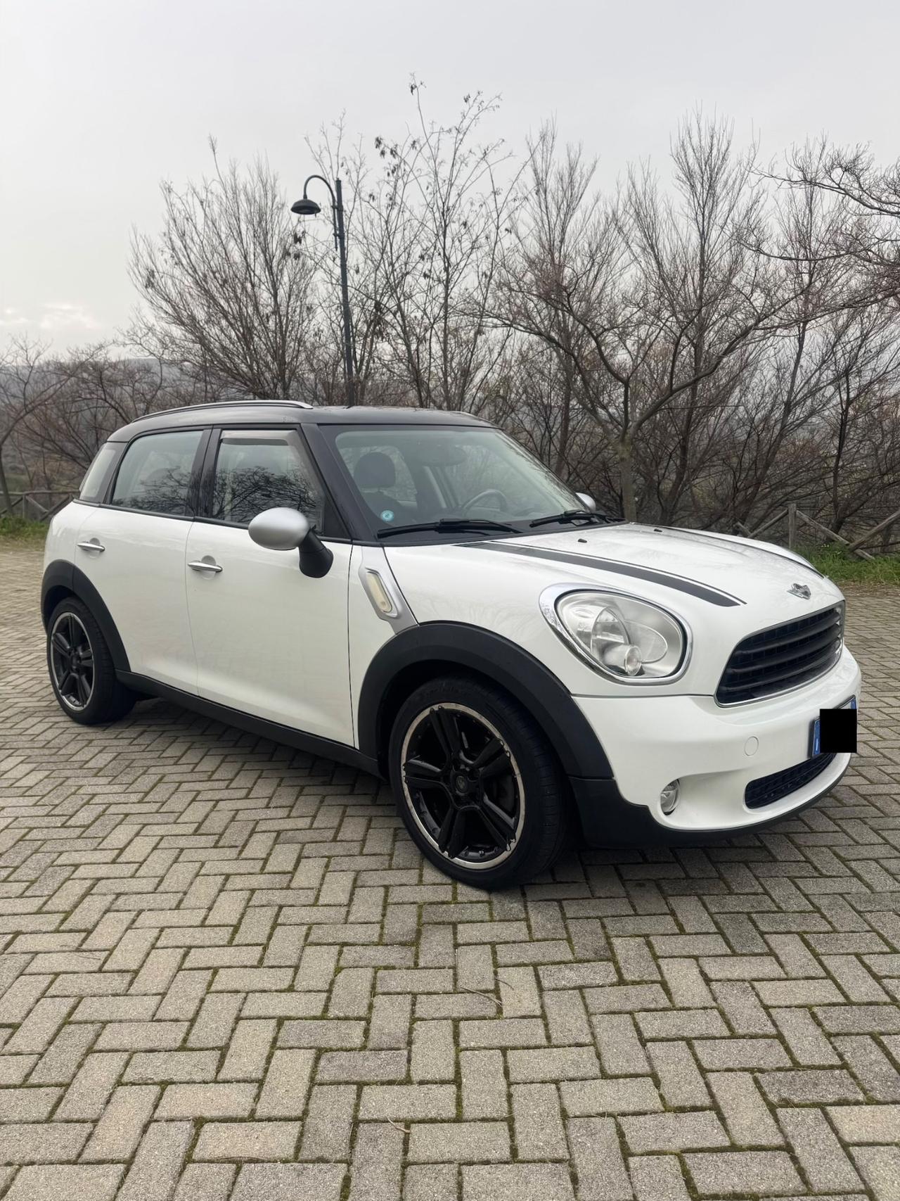 Mini Countryman 1.6 Diesel 110Cv 2010