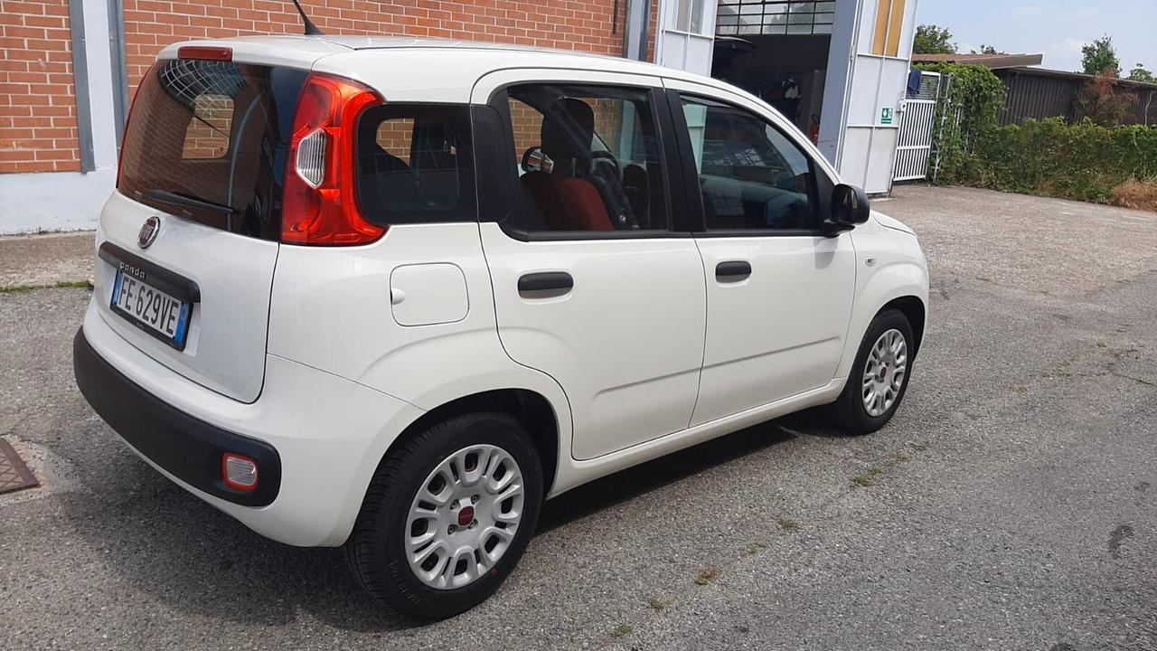 FIAT PANDA 1.2 Easy 2016 neopatentati
