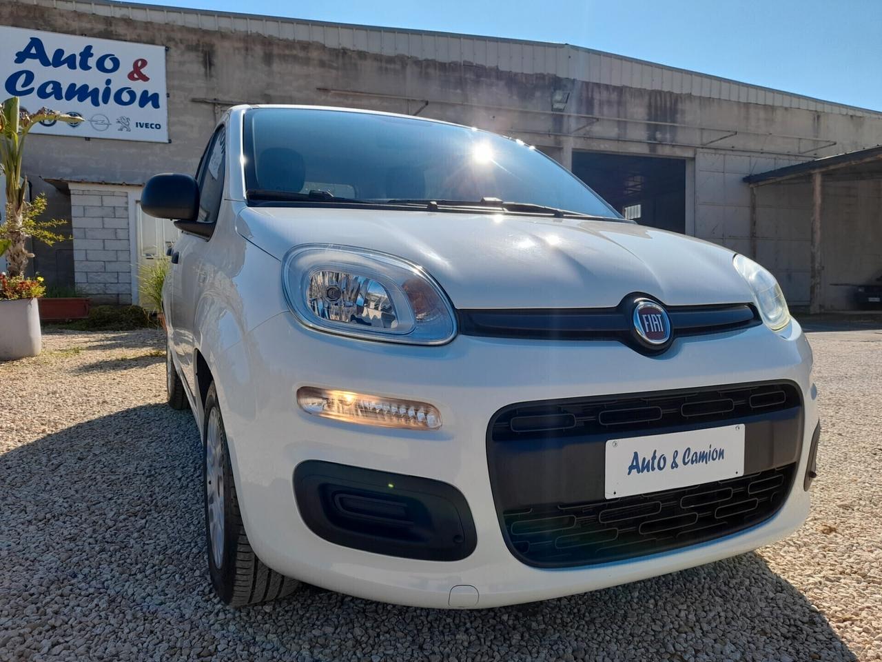Fiat Panda 1.0FIREFLY S&S ANNO 2021 BENZINA