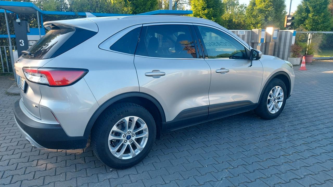 Ford Kuga 2.0 EcoBlue Hybrid 150 CV 2WD Titanium