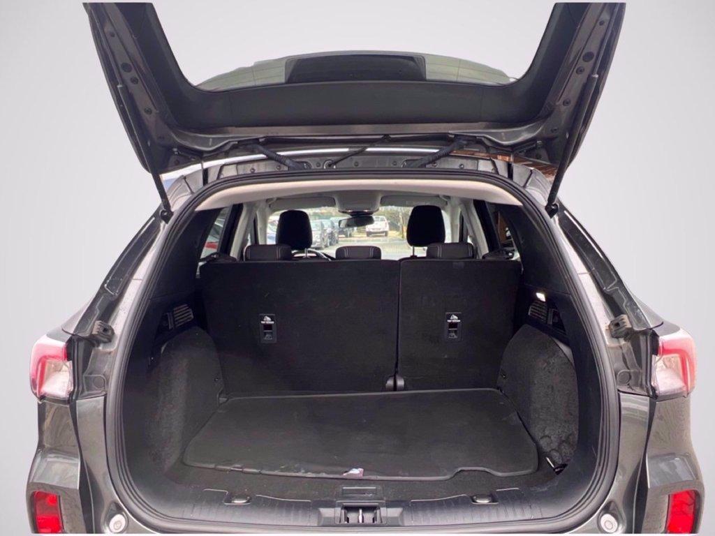 FORD Kuga 1.5 ecoblue Titanium 2wd 120cv del 2020