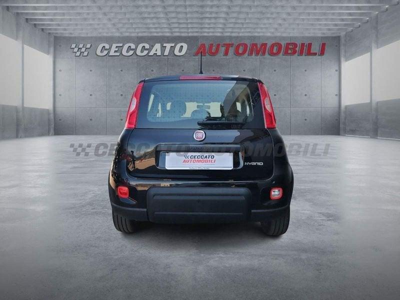 FIAT Panda Panda 1.0 firefly hybrid s&s 70cv 5p.ti