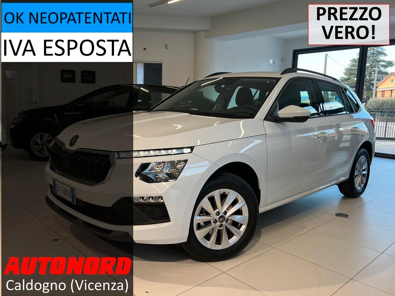 Skoda Kamiq 1.0 TSI Selection