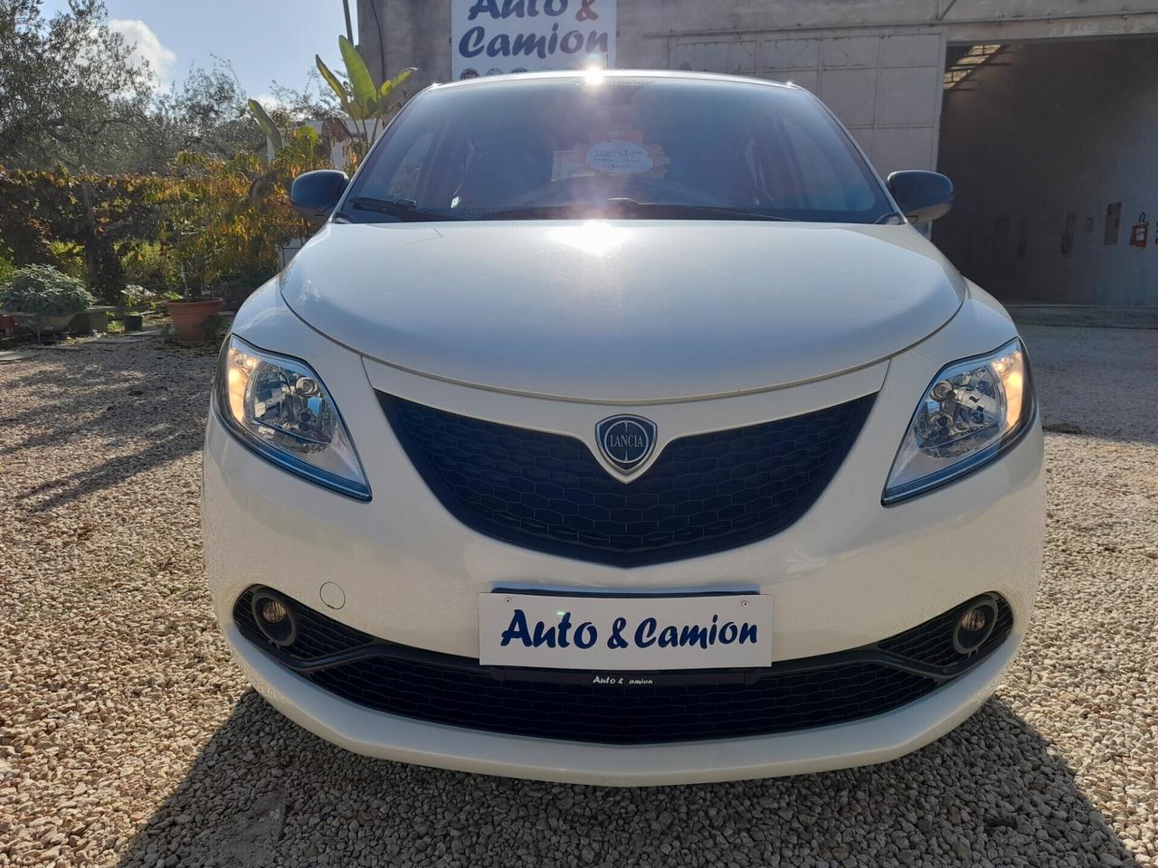 Lancia Ypsilon 1.2 69 CV Gold 2019 neopatentati ok