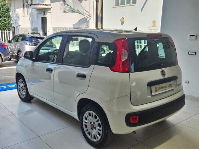 FIAT Panda 1.0 FireFly S&S Hybrid da ?119,00 mensili