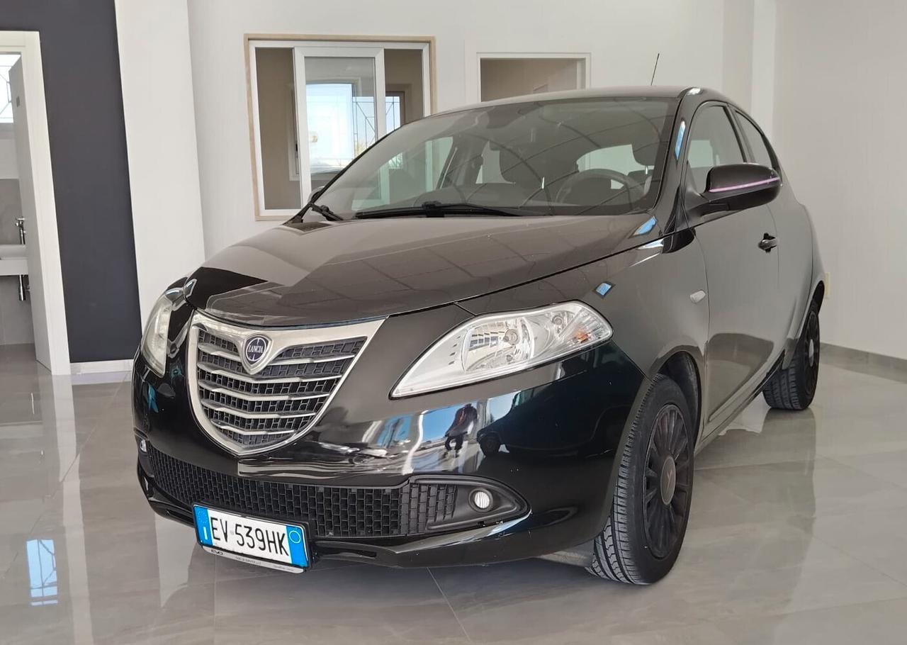 Lancia Ypsilon 1.2 69 CV 5 porte Elefantino