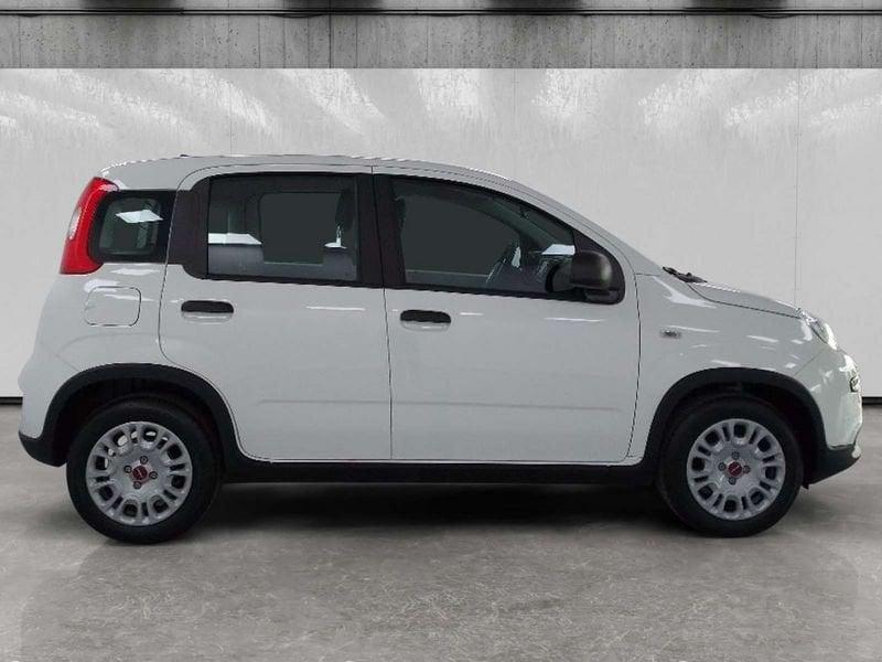 FIAT Panda 1.0 firefly hybrid s&s 70cv