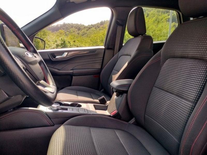 Ford Kuga Kuga 1.5 EcoBlue 120 CV 2WD ST-Line