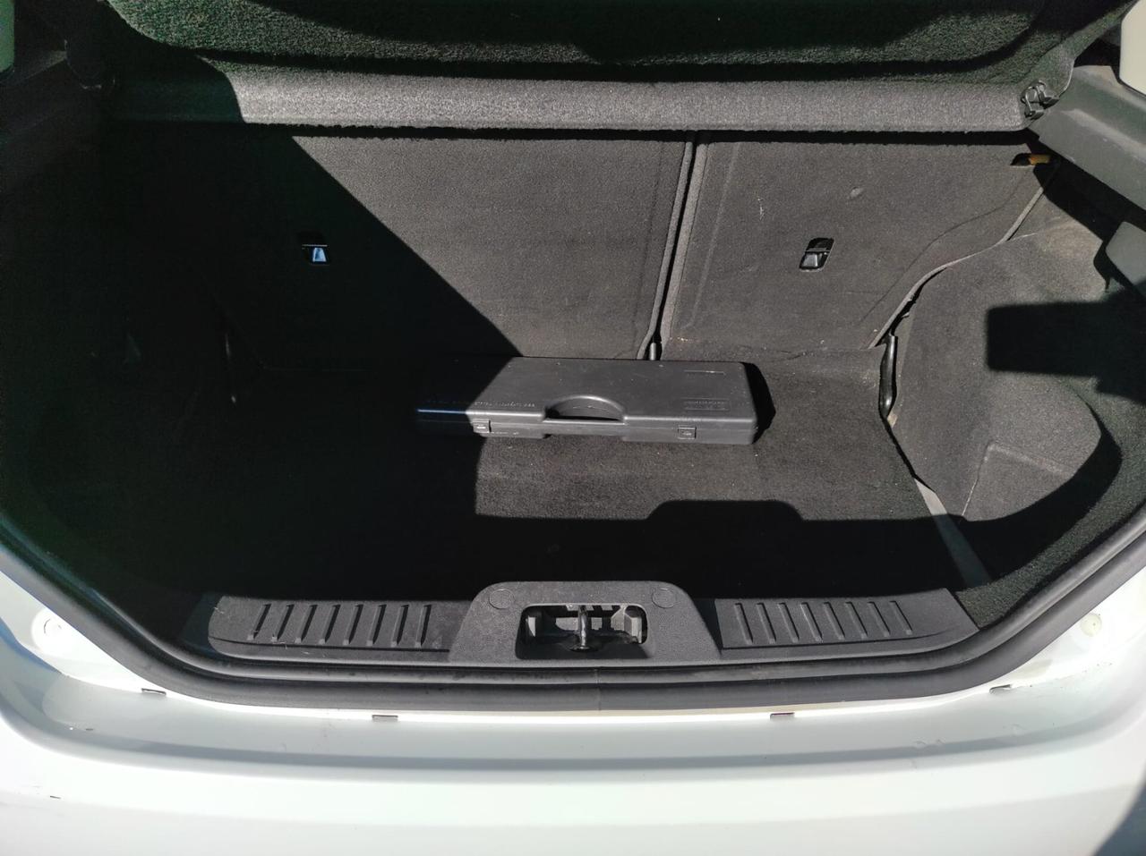 Ford Fiesta 1.4 5 porte Bz.- GPL Black & White Edition