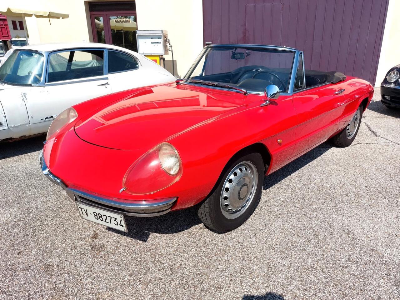 Alfa Romeo Spider Duetto 1600 Osso di Seppia del 1966