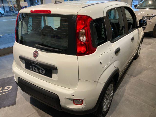 FIAT Panda 1.0 FireFly S&S Hybrid+pack city PROMO GTAUTO