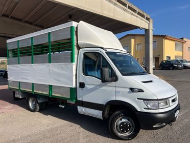 Iveco Daily 35C13 trasporto animali vivi patente B