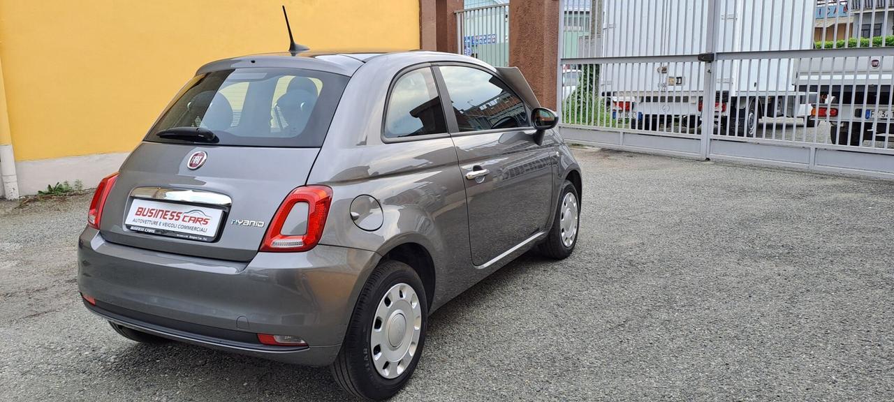 Fiat 500 1.0 70 CV HYBRID CULT - KM. 25000 - AUTO NEOPATENTATI -PRONTA CONSEGNA!