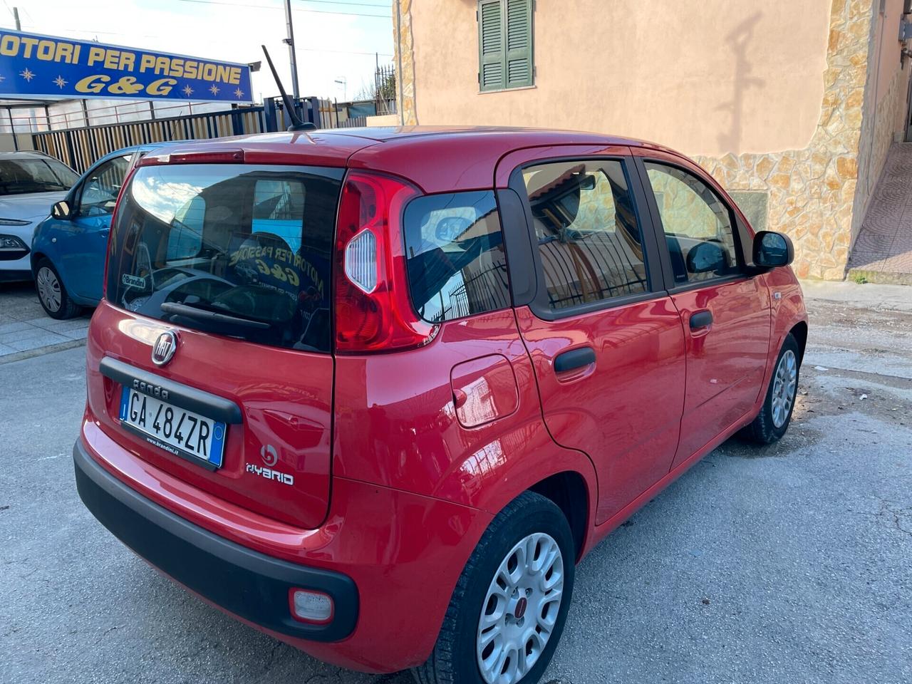 Fiat Panda 1.0 FireFly S&S Hybrid SOLO KM 22000