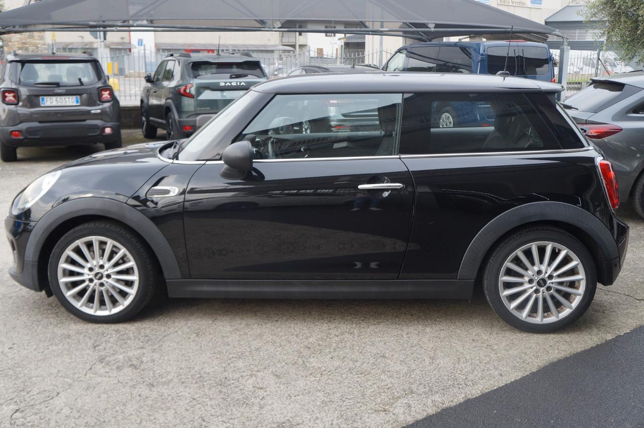 Mini Mini 1.5 One D