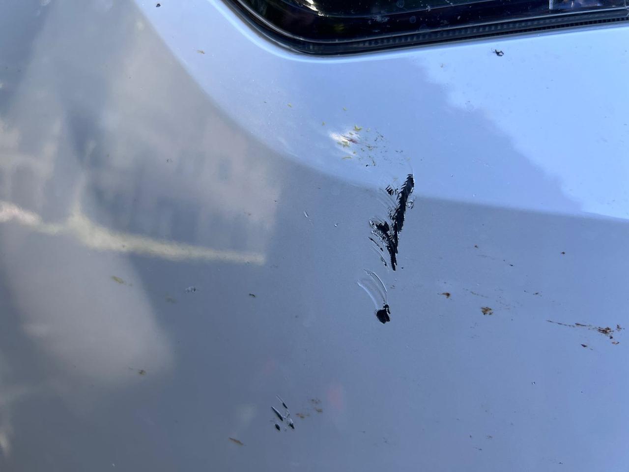 Seat Ateca 1.6 TDI Style #10625