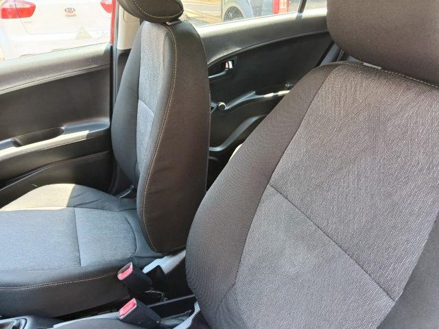 KIA Picanto 1.0 12V EcoGPL 5 porte Active Collection