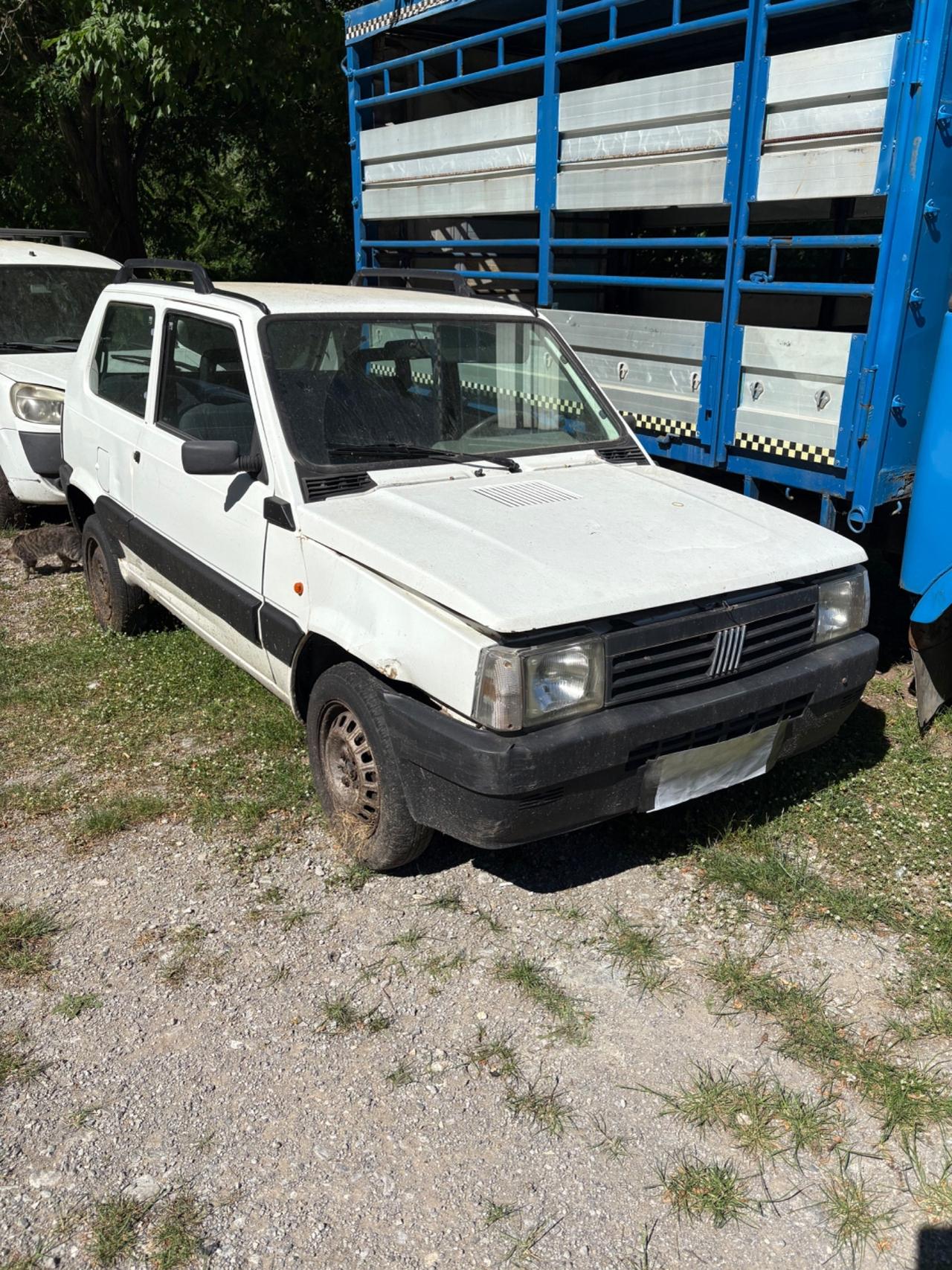 Fiat Panda 1100 i.e. cat College