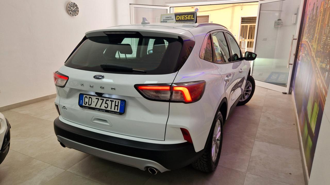 Ford Kuga 1.5 EcoBlue 120 CV aut. 2WD Titanium Business