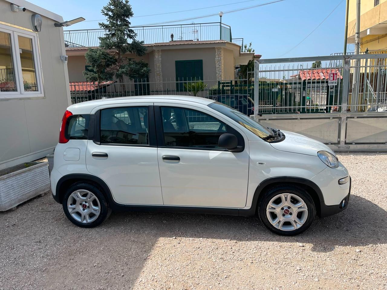 FIAT PANDA 1.0cc 70cv Hybrid S&S