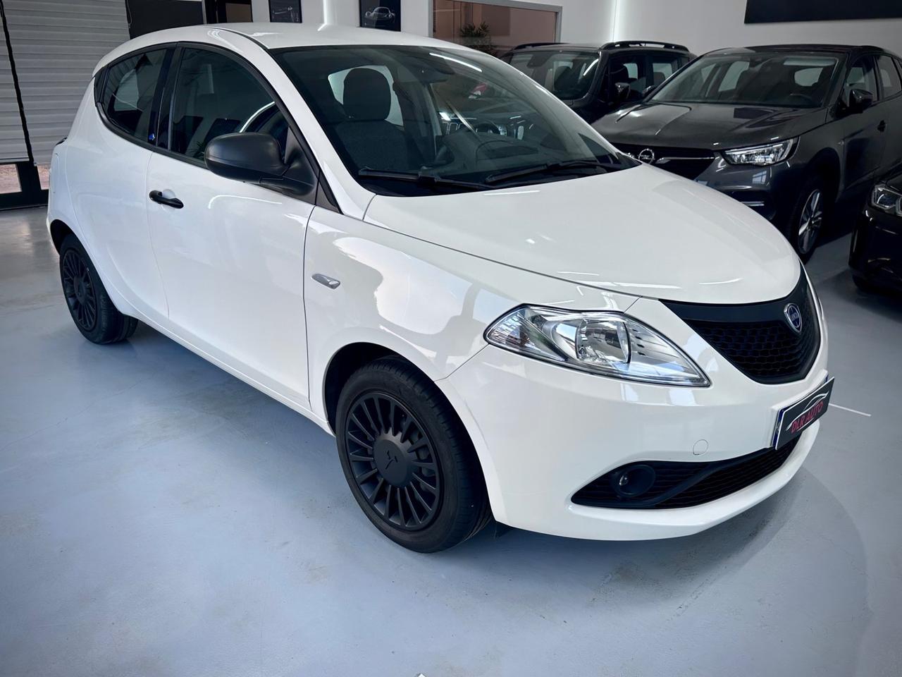 Lancia Ypsilon 1.2 69 CV 5 porte Elefantino Blu