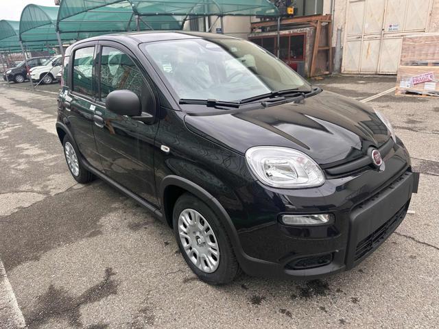 FIAT New Panda Hybrid My25 PROMO CAR SERENITY