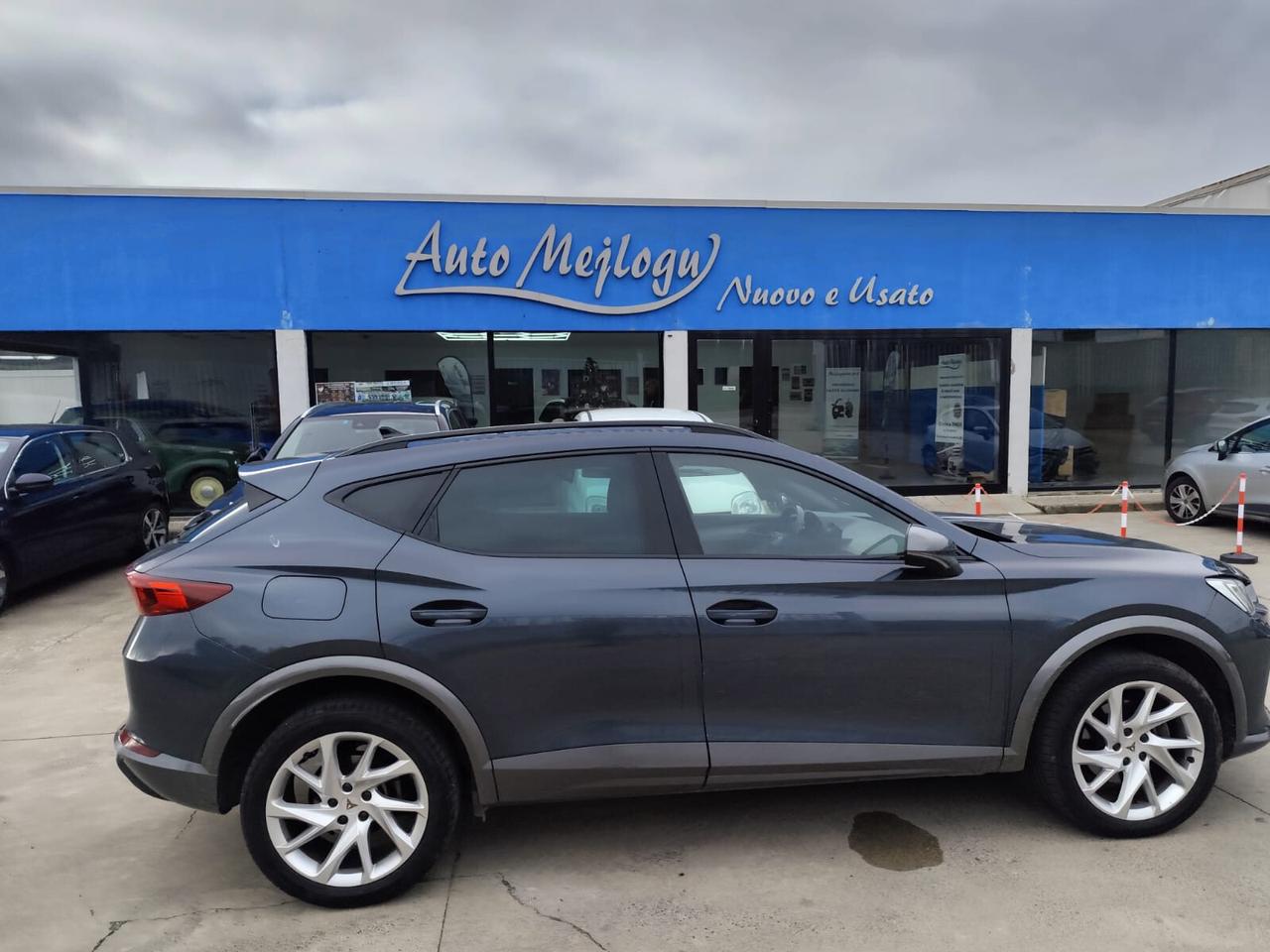 Cupra Formentor 2.0 TDI 4Drive DSG