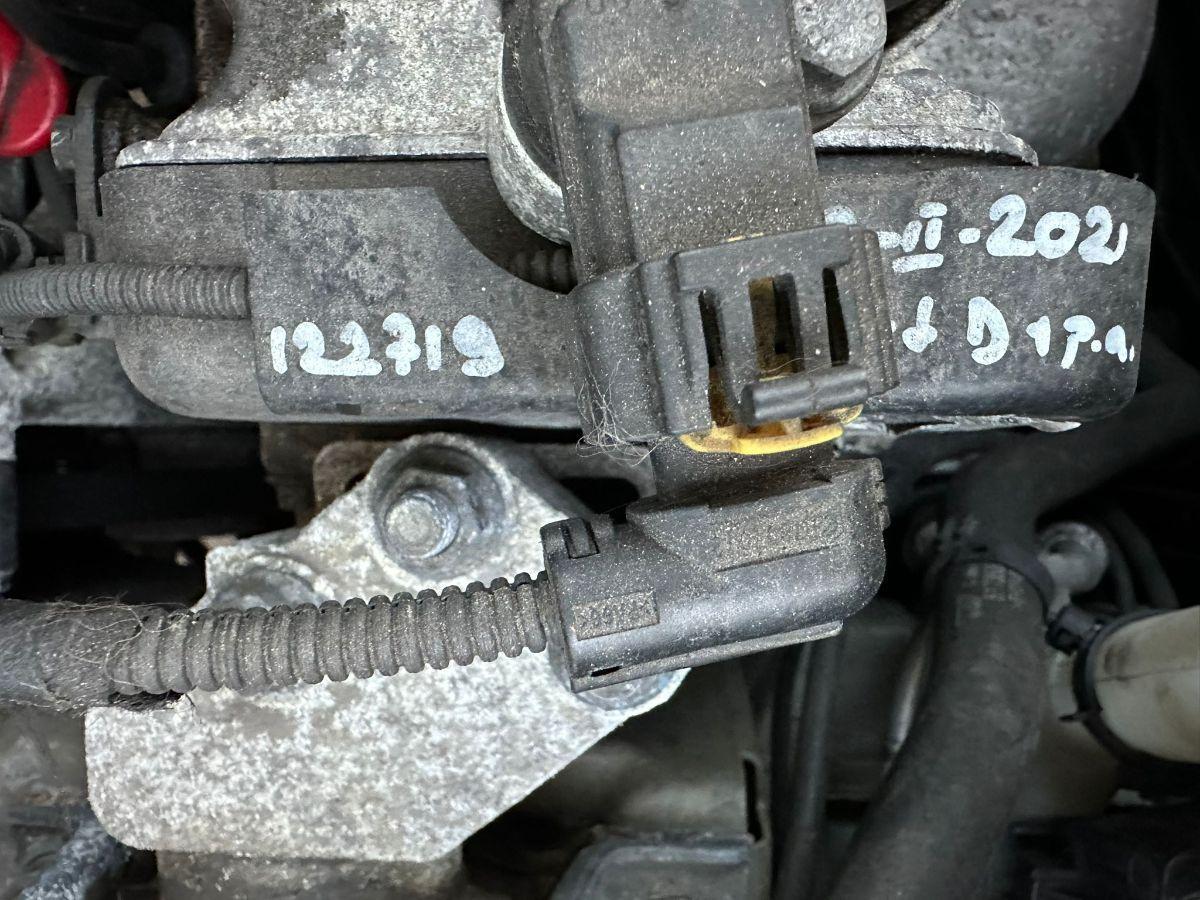 FIAT - Panda - 1.2 4x4 Glam