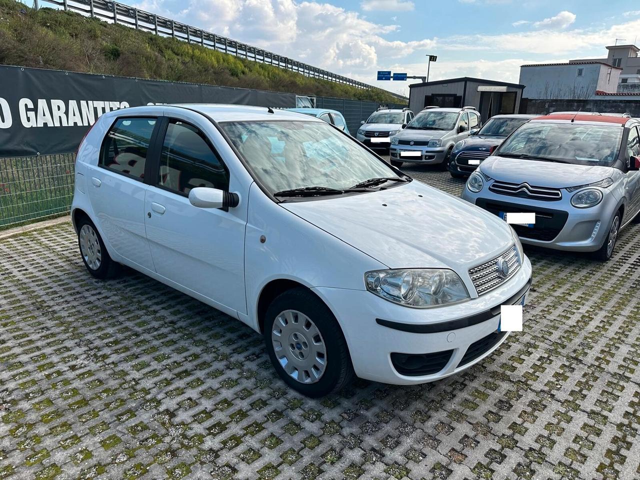 Fiat Punto Classic 1.2 5 porte Dynamic-11/2007