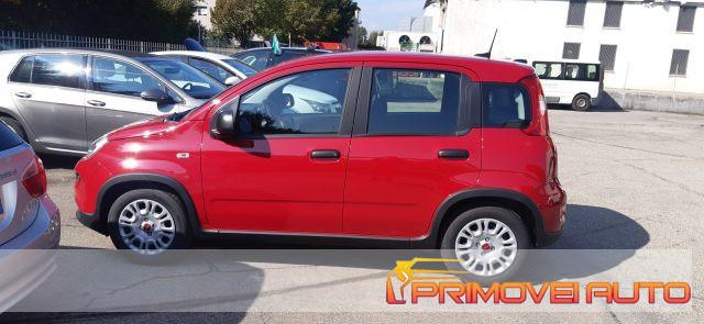 FIAT Panda 1.0 FireFly S&S Hybrid PRONTA CONSEGNA