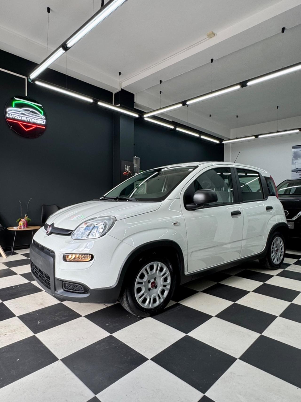 Fiat Panda 1.0 Hybrid City Life FINANZIABILE