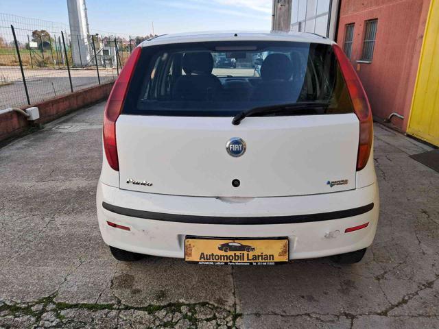 FIAT Punto 1.2 5 porte Active Natural Power NEOPATENTATI