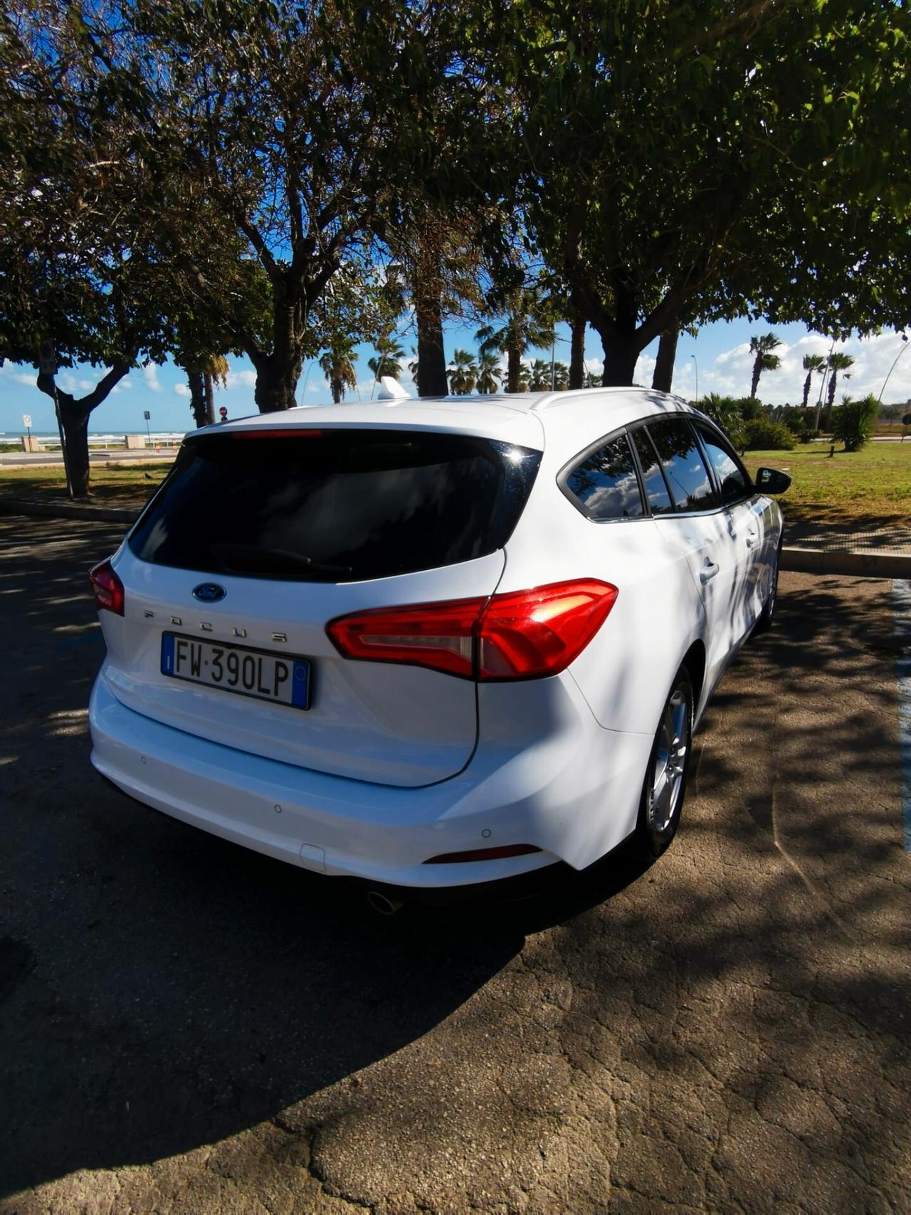 Ford Focus 1.5 EcoBlue 120 CV SW Business 2019