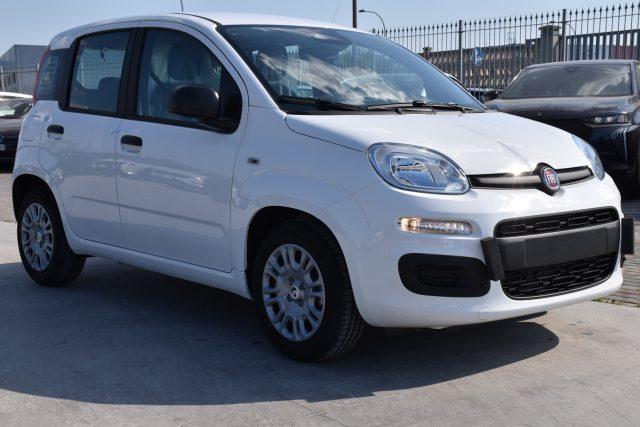 FIAT Panda 1.0 FireFly S&S Hybrid Icon *SENSORI*