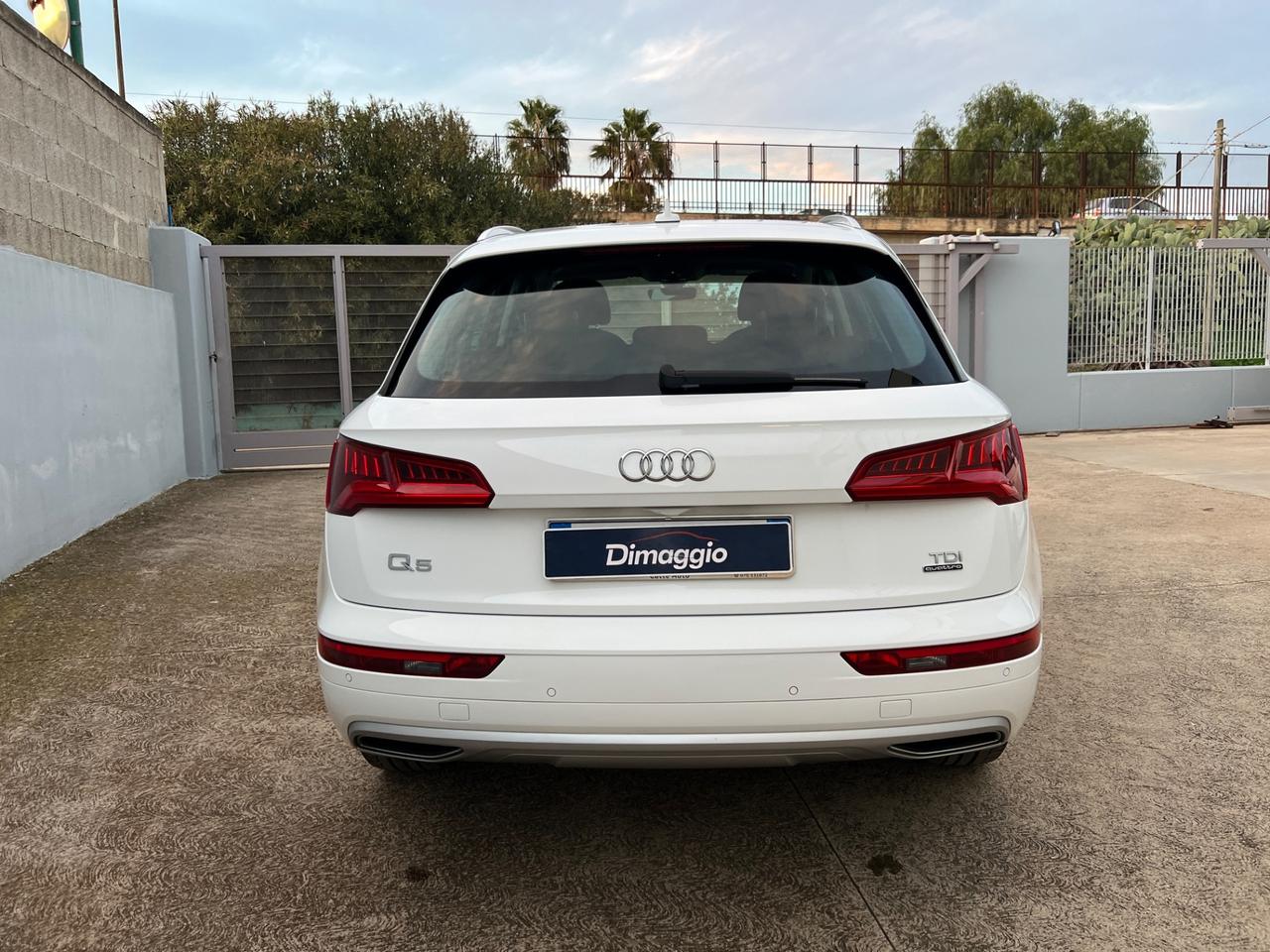 Audi Q5 2.0 TDI quattro S tronic Tetto | 2018