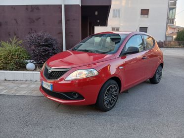 Lancia Ypsilon 1.2 69 CV 5 porte Elefantino tua a € 193 mese